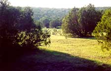 Elk Hunting in New Mexico - Wapiti Ranch - Guided Hunts